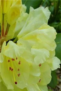 Yellow Floral Springtime Journal