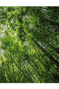Bamboo Forest Exercise Book With 150 Lined Pages