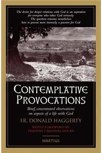 Contemplative Provocations