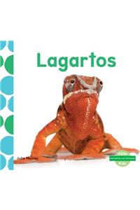 Lagartos (Lizards) (Spanish Version)
