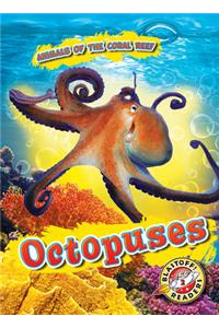 Octopuses