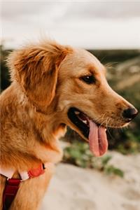 Golden Retriever Dog Pup Puppy Doggie Notebook Bullet Journal Diary Composition Book Notepad - Sunset in Dune