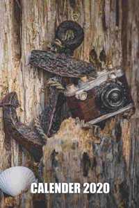 Sea love Baltic North Anchor Shell Camera Calendar 2020