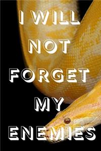 I Will Not Forget My Enemies