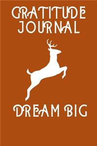 Gratitude Journal Dream Big