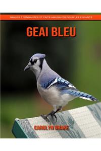 Geai Bleu
