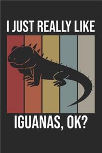 I Just Really Like Iguanas, OK?