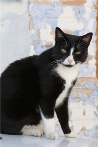 Black and White Cat Journal