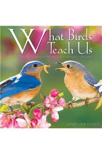 What Birds Teach Us