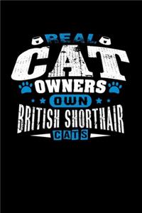 Real Cat Owners Own British Shorthair Cats