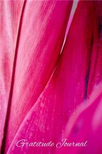 Gratitude Journal