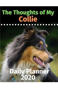 The Thoughts of My Collie