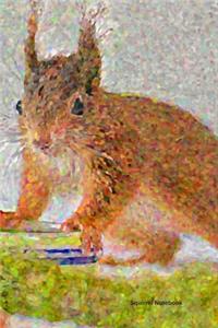 Squirrel Notebook