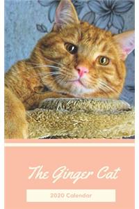 The Ginger Cat 2020 Calendar