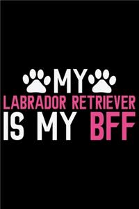 My Labrador Retriever Is My BFF