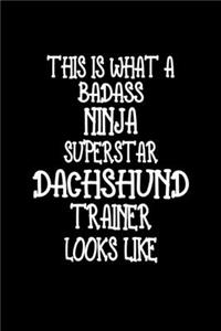 This Is What A Badass Ninja Superstar Dachshund Trainer Looks Like