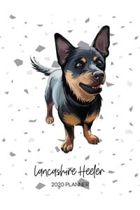 Lancashire Heeler 2020 Planner