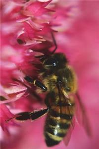 Bee on a Pink Dahlia Flower Journal