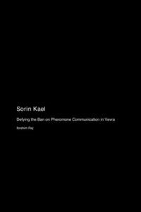 Sorin Kael