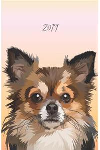 2019