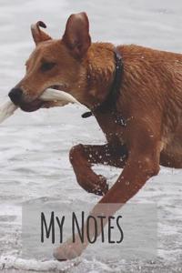 My Notes