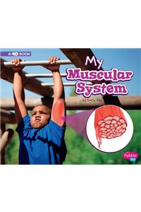 My Muscular System