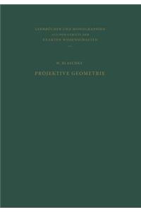 Projektive Geometrie