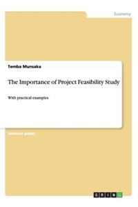 Importance of Project Feasibility Study