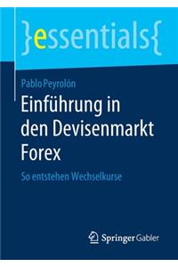 Einführung in Den Devisenmarkt Forex