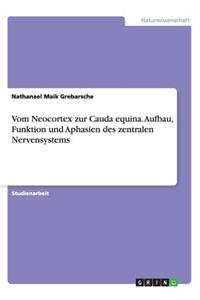 Vom Neocortex zur Cauda equina. Aufbau, Funktion und Aphasien des zentralen Nervensystems