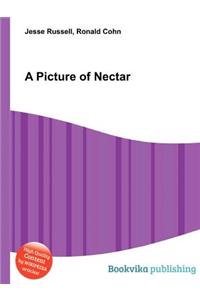 A Picture of Nectar