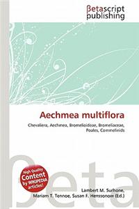 Aechmea Multiflora