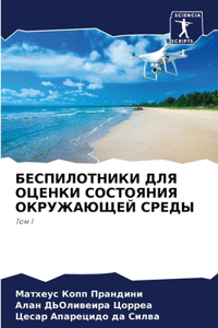 БЕСПИЛОТНИКИ ДЛЯ ОЦЕНКИ СОСТОЯНИЯ ОКРУЖА