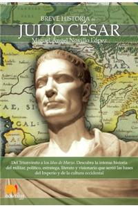 Breve Historia de Julio César