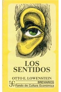 Los Sentidos
