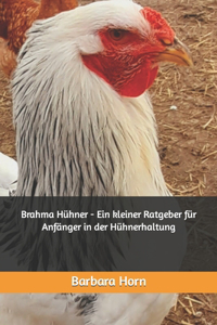 Brahma Hühner - Ein kleiner Ratgeber für Anfänger in der Hühnerhaltung