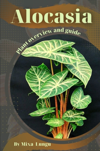 Alocasia