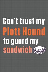 Can't trust my Plott Hound to guard my sandwich