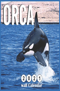 Orca 2021 wall calendar