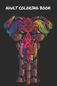 Adult Coloring Book