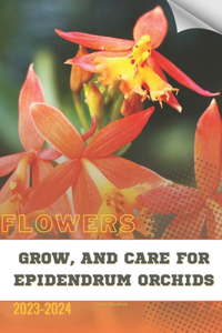 Grow, and Care For Epidendrum Orchids