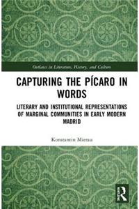 Capturing the Pícaro in Words