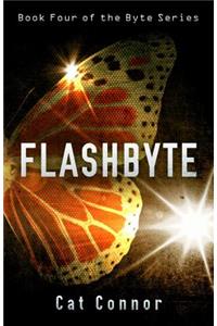 Flashbyte
