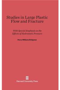 Studies in Large Plastic Flow and Fracture