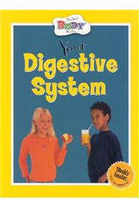 Your Digestive System
