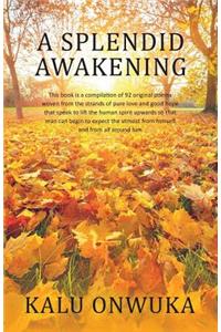 Splendid awakening