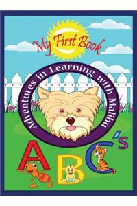 Adventures in Learning with Malibu
