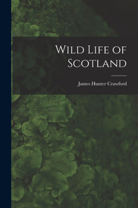 Wild Life of Scotland
