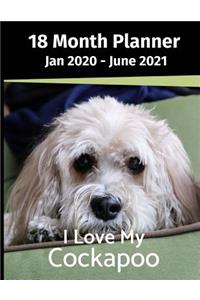 Jan 2020 - June 2021 18 Month Planner