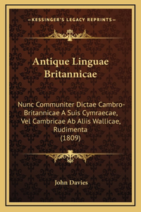 Antique Linguae Britannicae